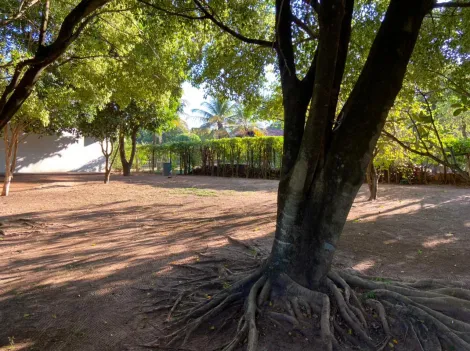 imagem 5 - Linda Chácara, Chácaras Cardoso 2.500m² de puro capricho!!! Agende sua visita imagem 5 - Linda Chácara, Chácaras Cardoso 2.500m² de puro capricho!!! Agende sua visita