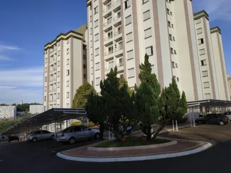 imagem 1 - Apartamento - 2 dormitórios - Campo Bello imagem 1 - Apartamento - 2 dormitórios - Campo Bello