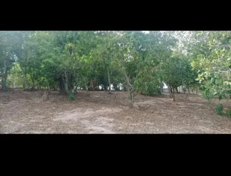 imagem 4 - Rural - ChácaraFazenda imagem 4 - Rural - ChácaraFazenda