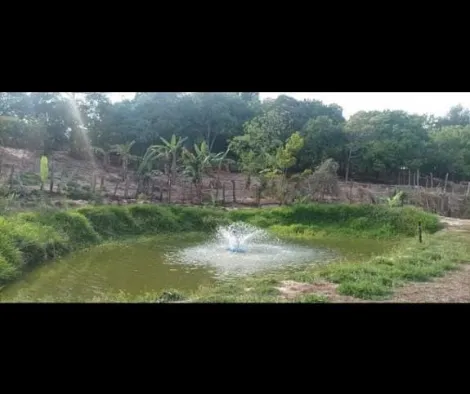 imagem 1 - Rural - ChácaraFazenda imagem 1 - Rural - ChácaraFazenda