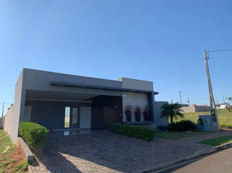 imagem 4 - Ótima Residência no Ávila em Piratininga imagem 4 - Ótima Residência no Ávila em Piratininga