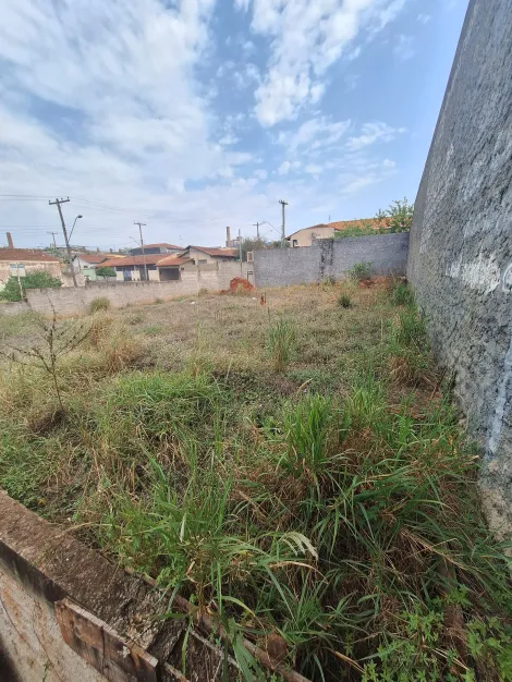 imagem 1 - Terreno - Padrão imagem 1 - Terreno - Padrão