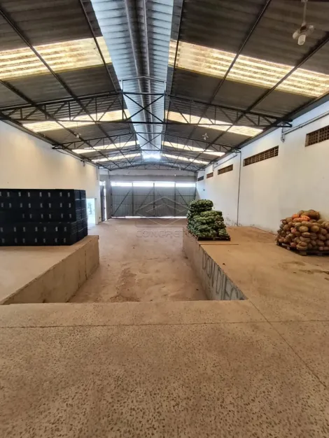 imagem 3 - GALPÃO COMERCIAL COM 1.400M².  PARQUE HIPODROMO, BAURU/SP imagem 3 - GALPÃO COMERCIAL COM 1.400M².  PARQUE HIPODROMO, BAURU/SP