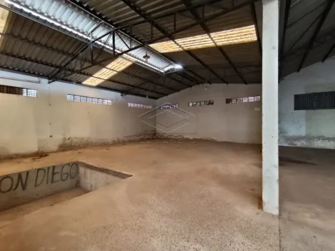 imagem 2 - GALPÃO COMERCIAL COM 1.400M².  PARQUE HIPODROMO, BAURU/SP imagem 2 - GALPÃO COMERCIAL COM 1.400M².  PARQUE HIPODROMO, BAURU/SP