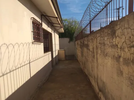 imagem 2 - Casa Para locação em excelente localização, no fundo possui uma edícula com um quarto e banheiro imagem 2 - Casa Para locação em excelente localização, no fundo possui uma edícula com um quarto e banheiro