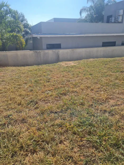 imagem 3 - Terreno - Villa Dumont imagem 3 - Terreno - Villa Dumont