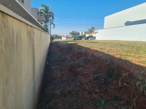 imagem 2 - Terreno - Villa Dumont imagem 2 - Terreno - Villa Dumont