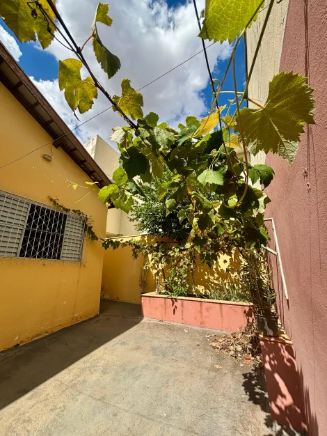 imagem 2 - Uma casa que pode ser o começo de um novo capítulo na sua vida imagem 2 - Uma casa que pode ser o começo de um novo capítulo na sua vida